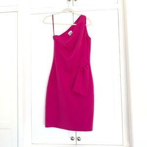 PH5 One Shoulder Fuschia Dress